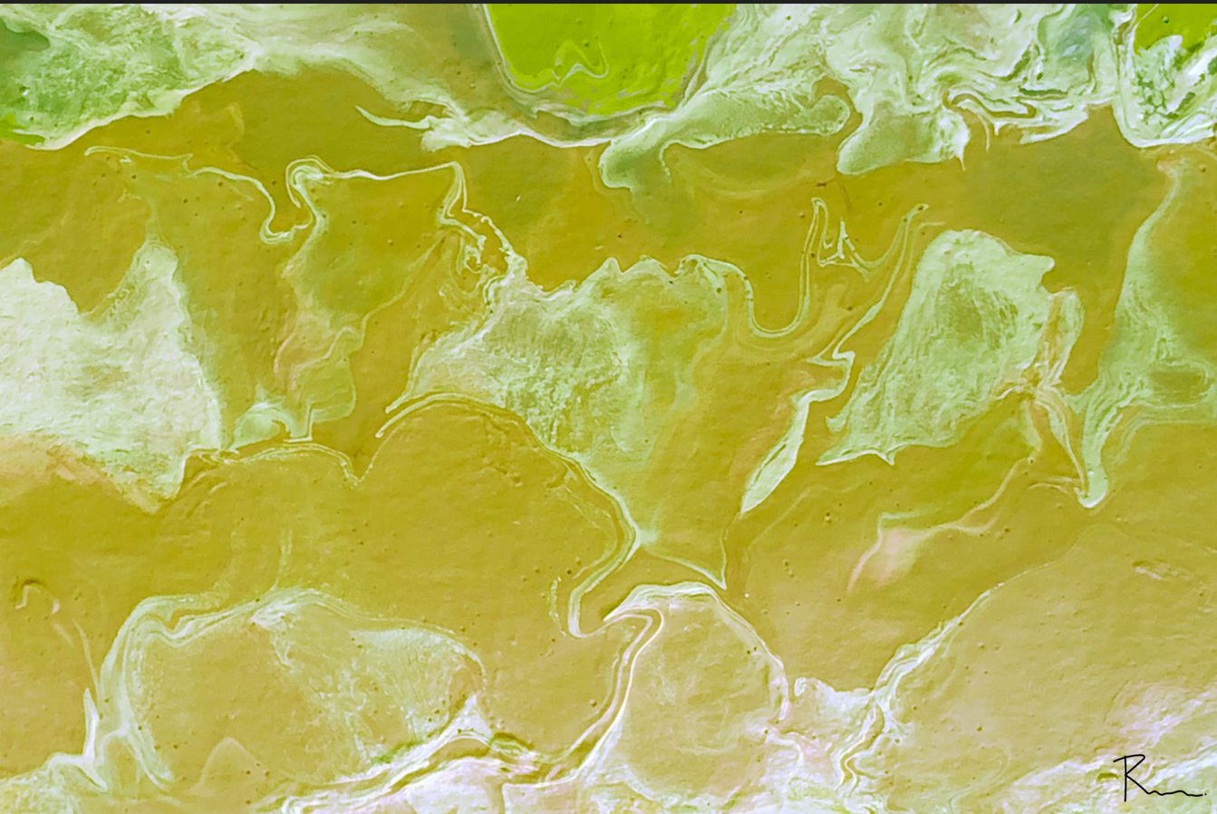 Curso "Conocimiento científico para la Acción Clínica". H. Cruces RESIDENTES G1. 09 Febrero - 17 Mayo 2026