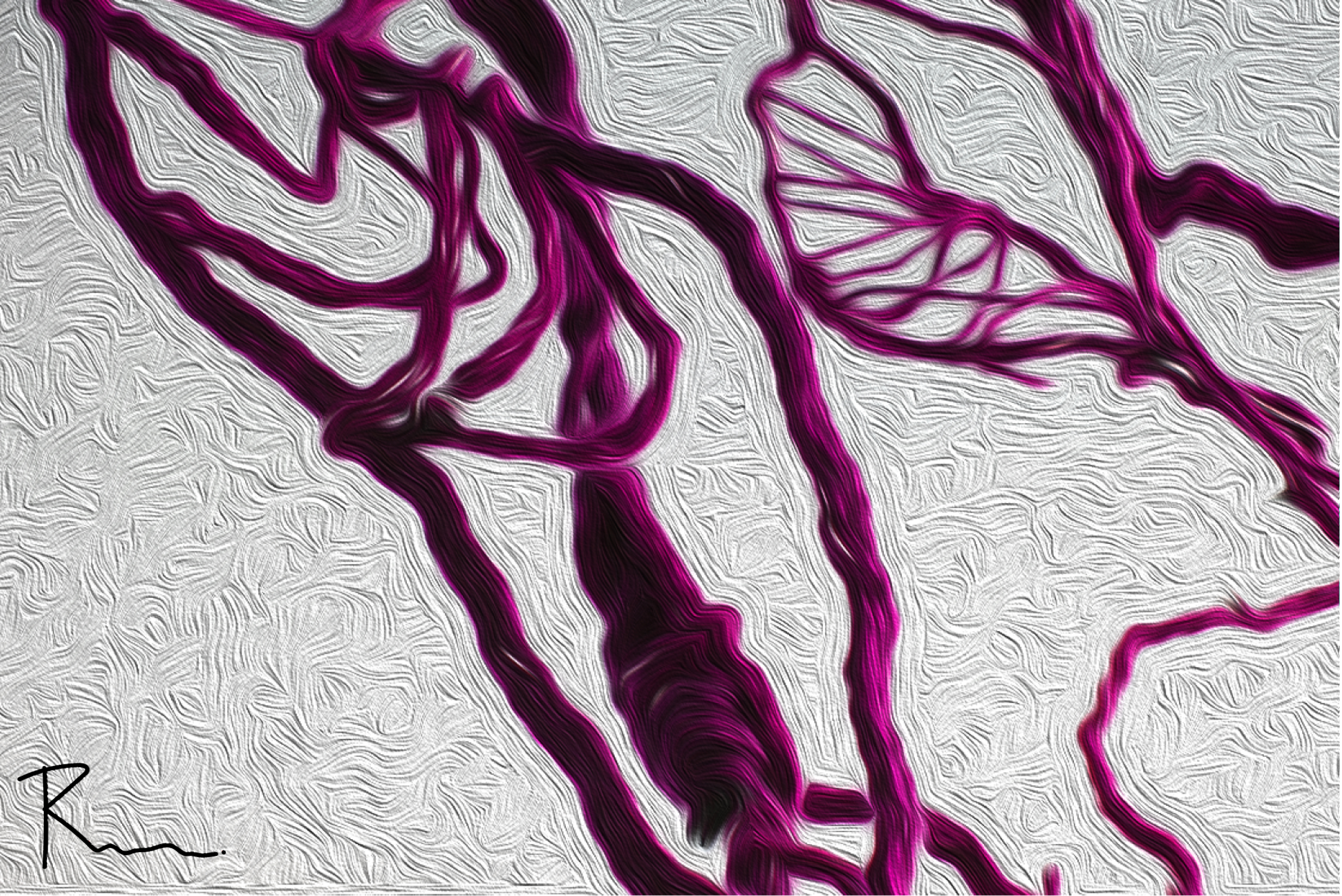 Entrenamiento Entrenadores Online Enfermeria 28 Enero 2026